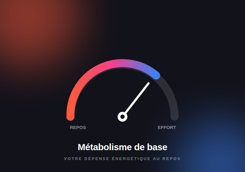 Le métabolisme de base